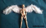 cokote bjd 09