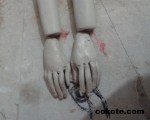 cokote bjd 02