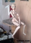 cokote bjd 06